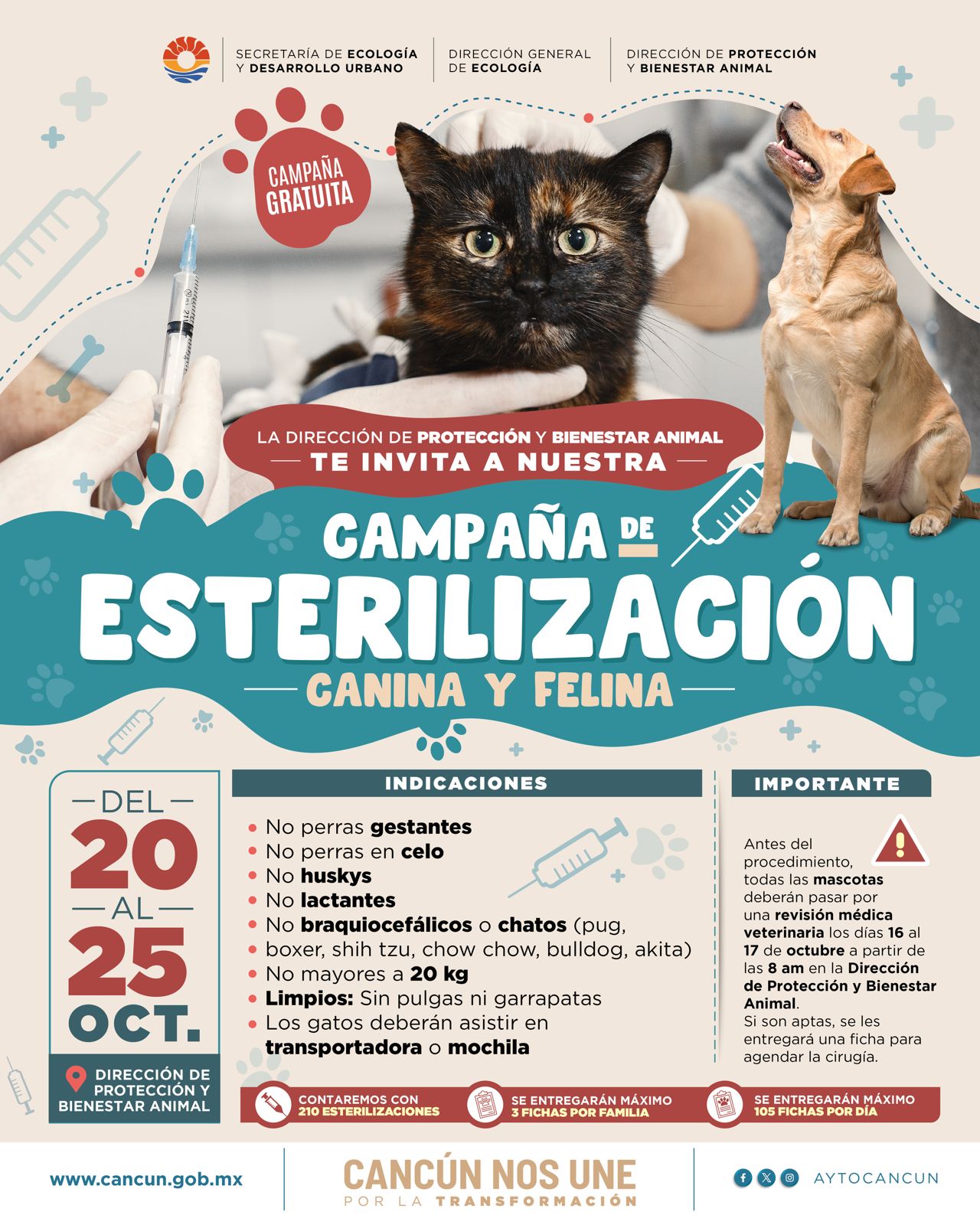 uploads/6/32/01 (2417).Jpeg